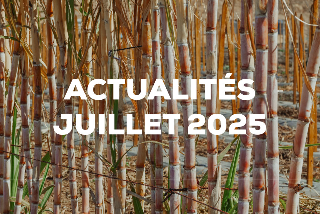 actualités_juillet2025